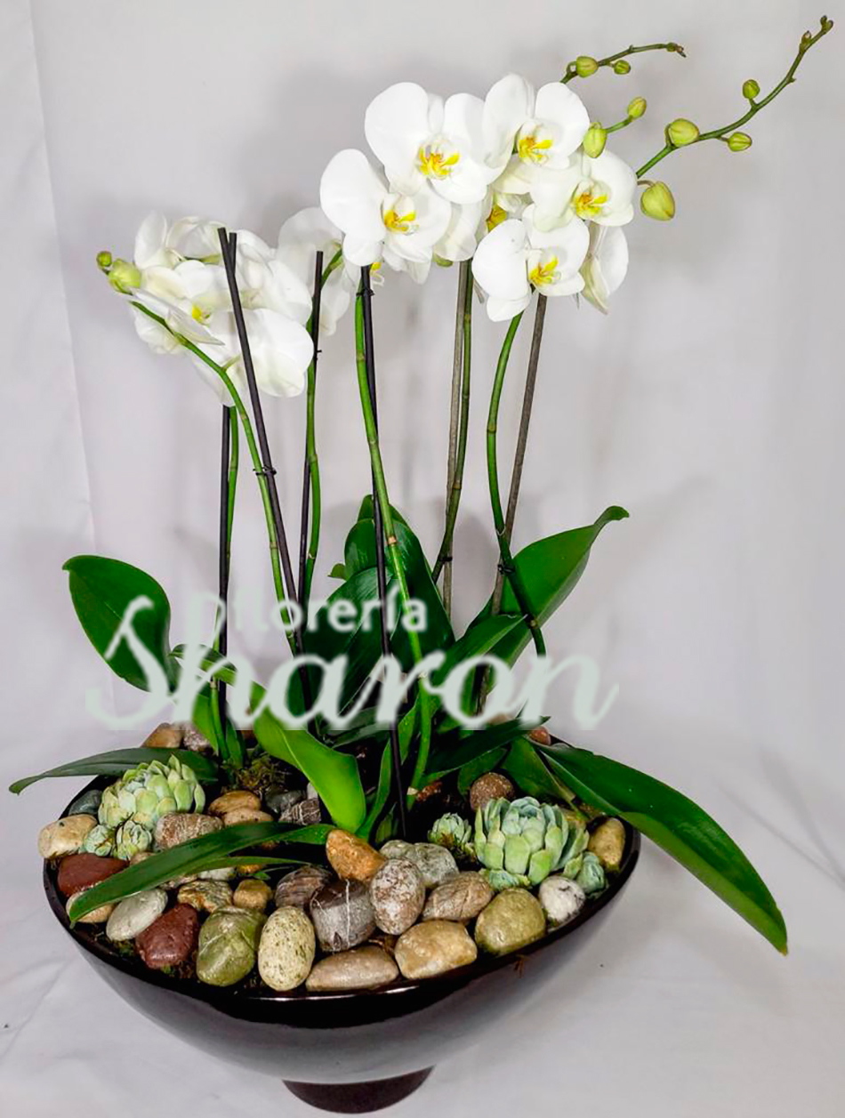 Arreglo flores artificiales  Orquídeas artificiales, Flores artificiales,  Arreglos orquideas