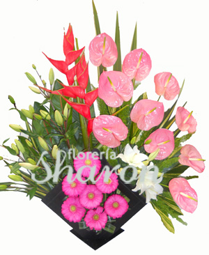 Arreglo Floral grande Rosato – Florería Sharon | Arreglos Florales |  Canasta Frutal | Envío de Flores | Arreglos condolencias |