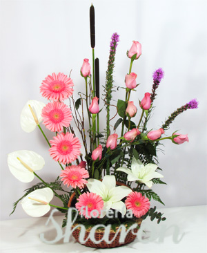 Canasta de Gerberas Mariposas – Florería Sharon | Arreglos Florales |  Canasta Frutal | Envío de Flores | Arreglos condolencias |