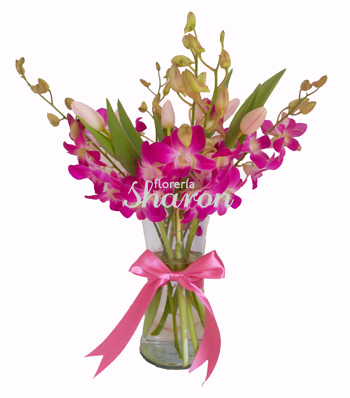 Ramo de 100 rosas color rosa Princesa – Florería Sharon
