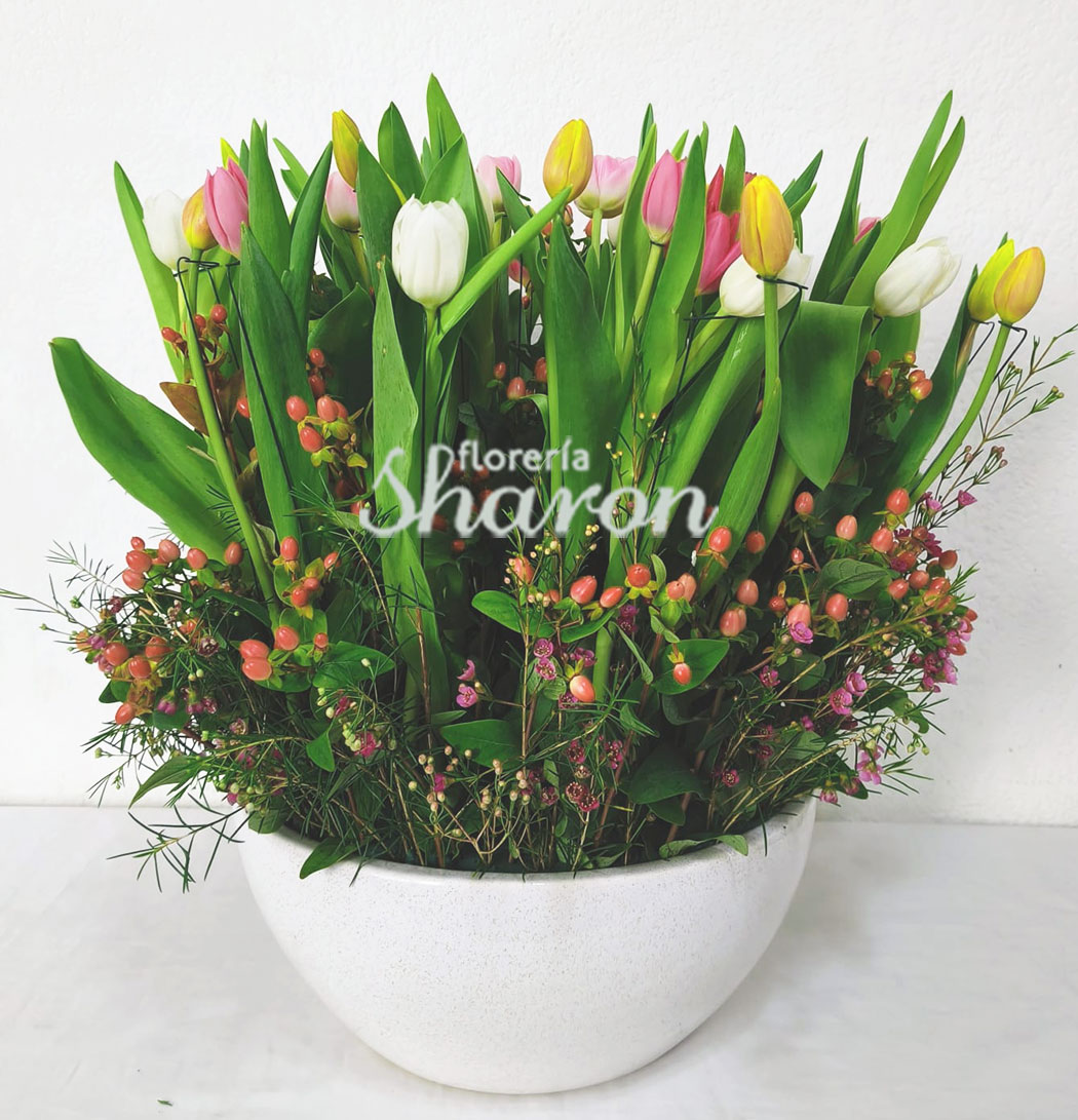 Arreglo floral de 50 Tulipanes Lía